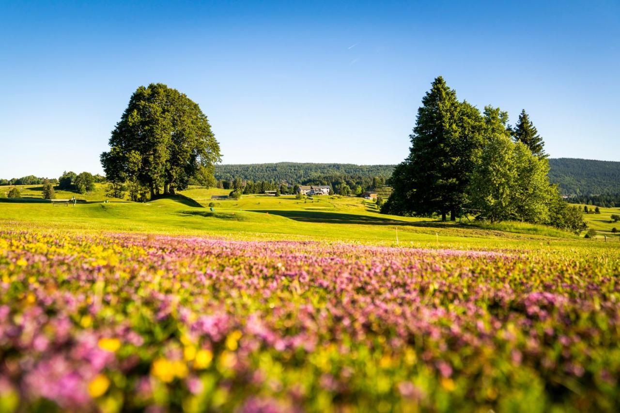 Domaine Du Mont-Saint-Jean Hotel Ле Рус Екстериор снимка